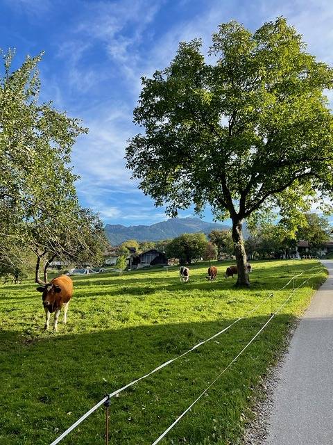 Ferienwohnung für 5 Personen, mit Balkon, kinderfreundlich in Frasdorf - 3