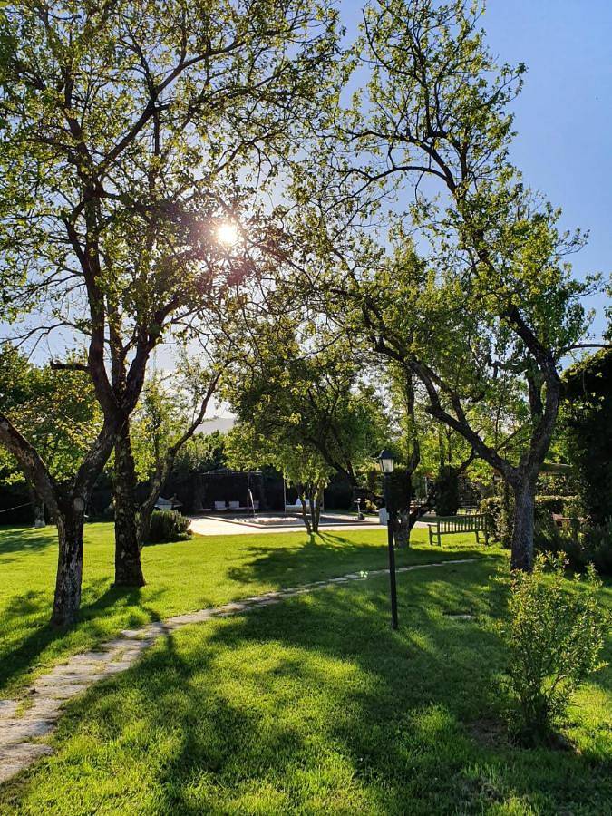 Gîte pour 2 personnes, avec piscine ainsi que jardin et vue à Vignanello - 4