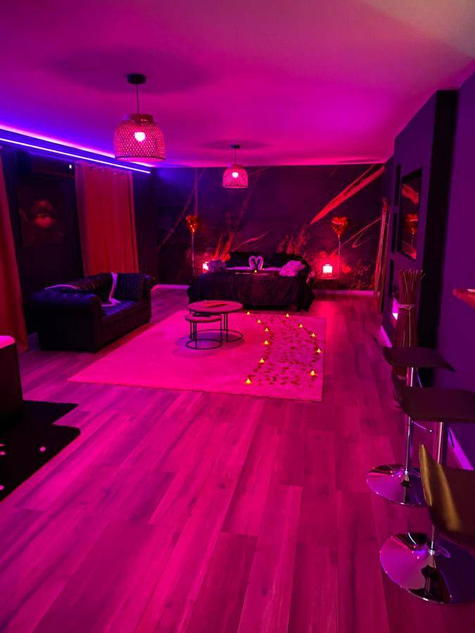 Gîte pour 2 personnes, avec terrasse ainsi que jardin et jacuzzi dans Port-sur-Saône - 3