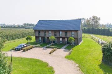 Ferienhaus für 12 Personen, mit Pool und Garten in Vrouwenpolder