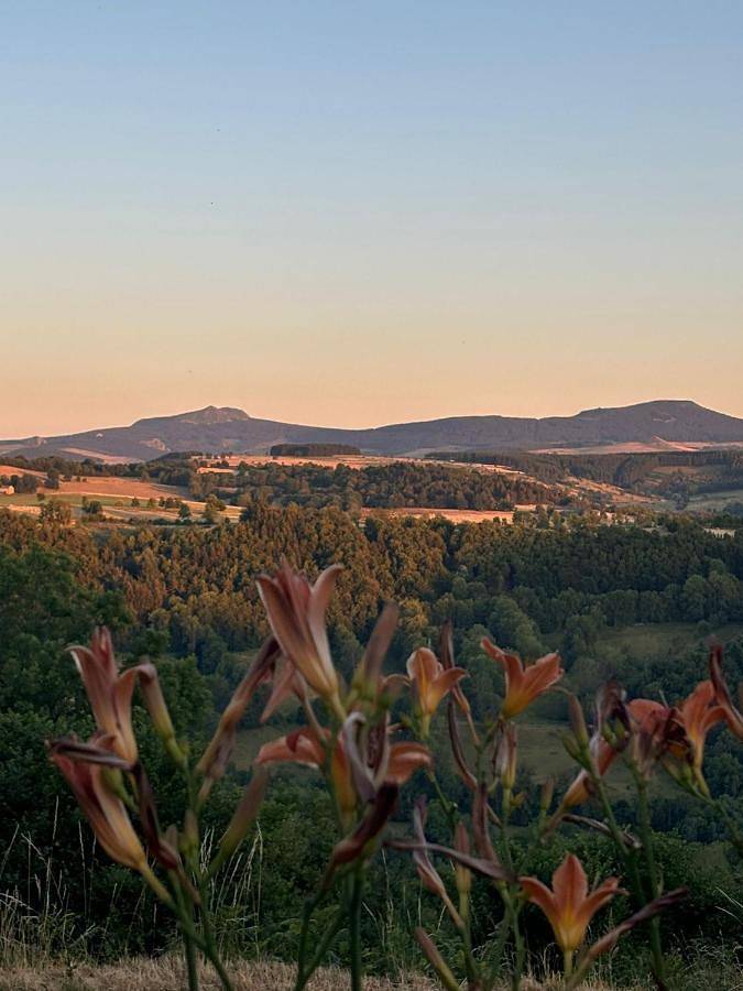 Camping pour 6 personnes, avec piscine ainsi que vue et jardin, animaux acceptés en Haute-Loire - 4