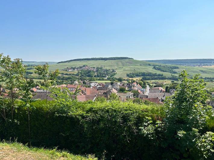 Location de vacances pour 8 personnes, avec Terrasse et Jardin à Châtillon-sur-Marne