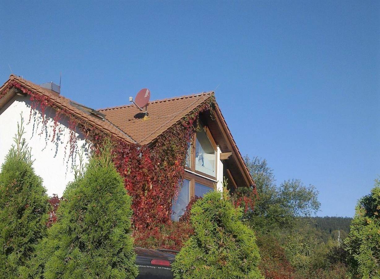 Ganze Wohnung, Ferienhaus am Löffelberghüttchen in Gießübel, Schleusegrund