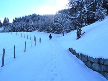 Ferienhaus für 2 Personen in Uttendorf, Salzburger Land, Bild 4