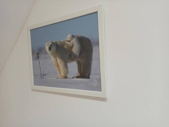 Gîte pour 2 personnes, avec terrasse, animaux acceptés à Saint-Aignan - 3