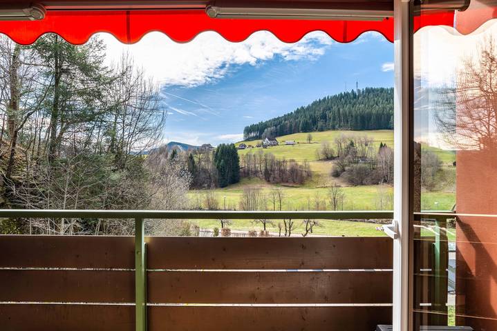 Ferienwohnung für 3 Personen, mit Balkon und Garten sowie Sauna in Baiersbronn - 2