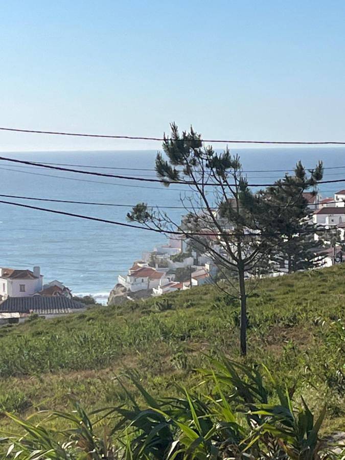 Apartamento inteiro, Azenhas Apartment in Azenhas do Mar, Costa de Lisboa