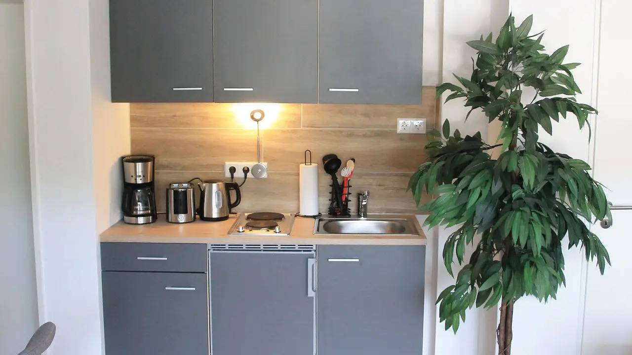 Ganze Ferienwohnung, Ferienwohnung für 4 Personen (48 m²) in Willingen (Upland) in Stryck, Willingen