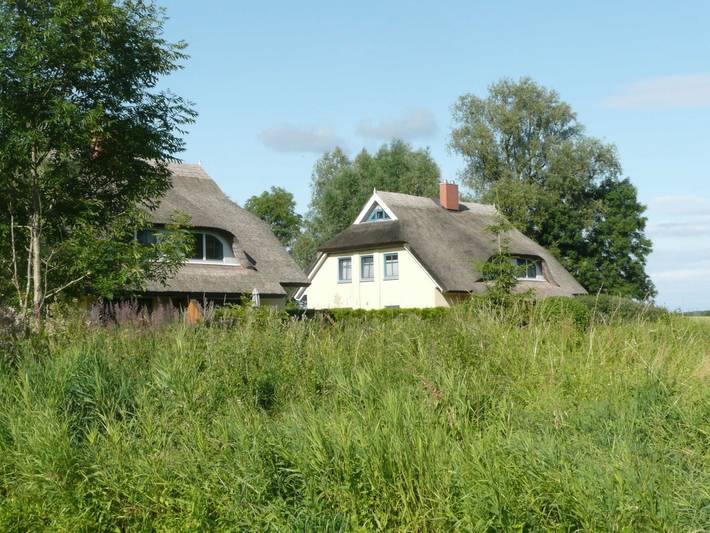 Behagliches Reetdachhaus Eibe 1 Sauna Kamin Wallbox - Dhh Eibe 1 in Puddemin, Poseritz