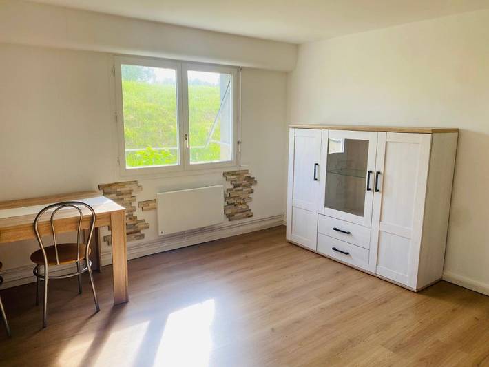 Gîte pour 4 personnes, avec jacuzzi et terrasse, animaux acceptés à Villersexel - 4