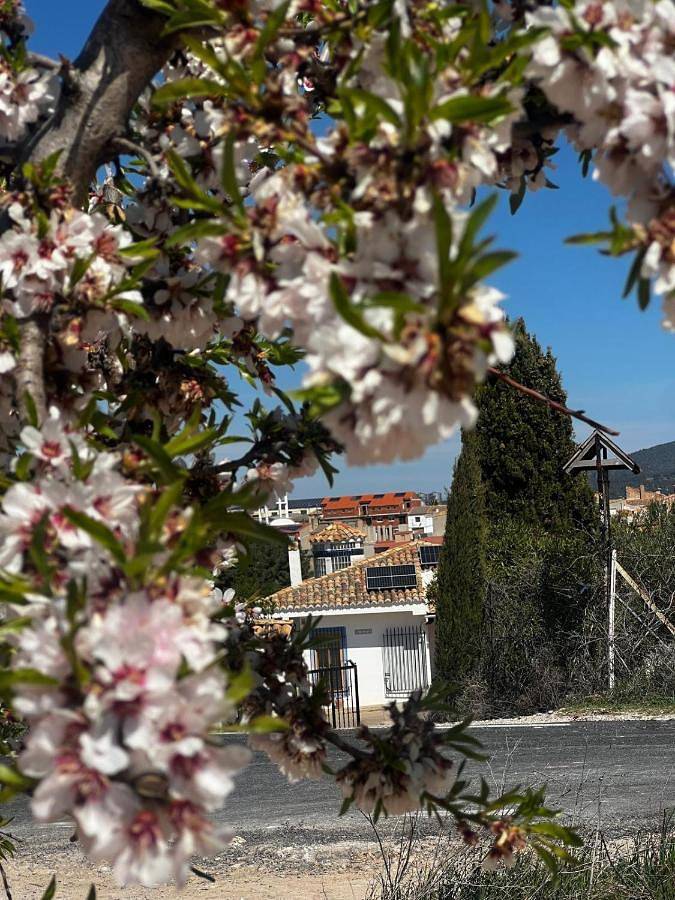 Chalet para 20 personas, con Balcón y Terraza además de Jardín y Piscina para niños en Requena-Utiel - 4