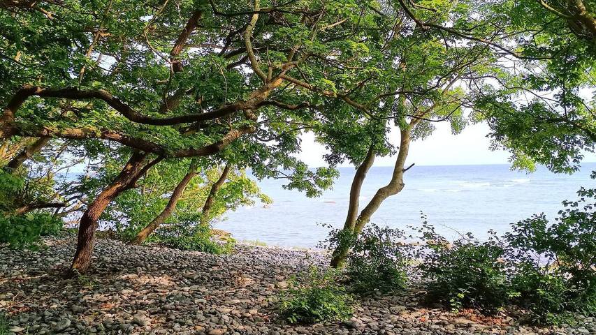 Location de vacances pour 5 personnes dans Borre - 4