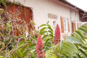 Gîte pour 9 personnes, avec vue et terrasse, animaux acceptés dans Seuil-d'Argonne