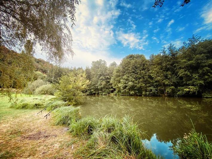 Maison d’hôte pour 2 personnes, avec jardin dans l' Ain - 3
