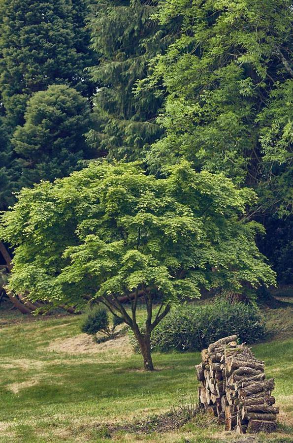 Gîte pour 6 personnes, avec jardin et vue à Plogastel-Saint-Germain - 4