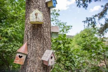 Bed And Breakfast for 3 Guests in Manitou Springs, South Central Colorado, Picture 4