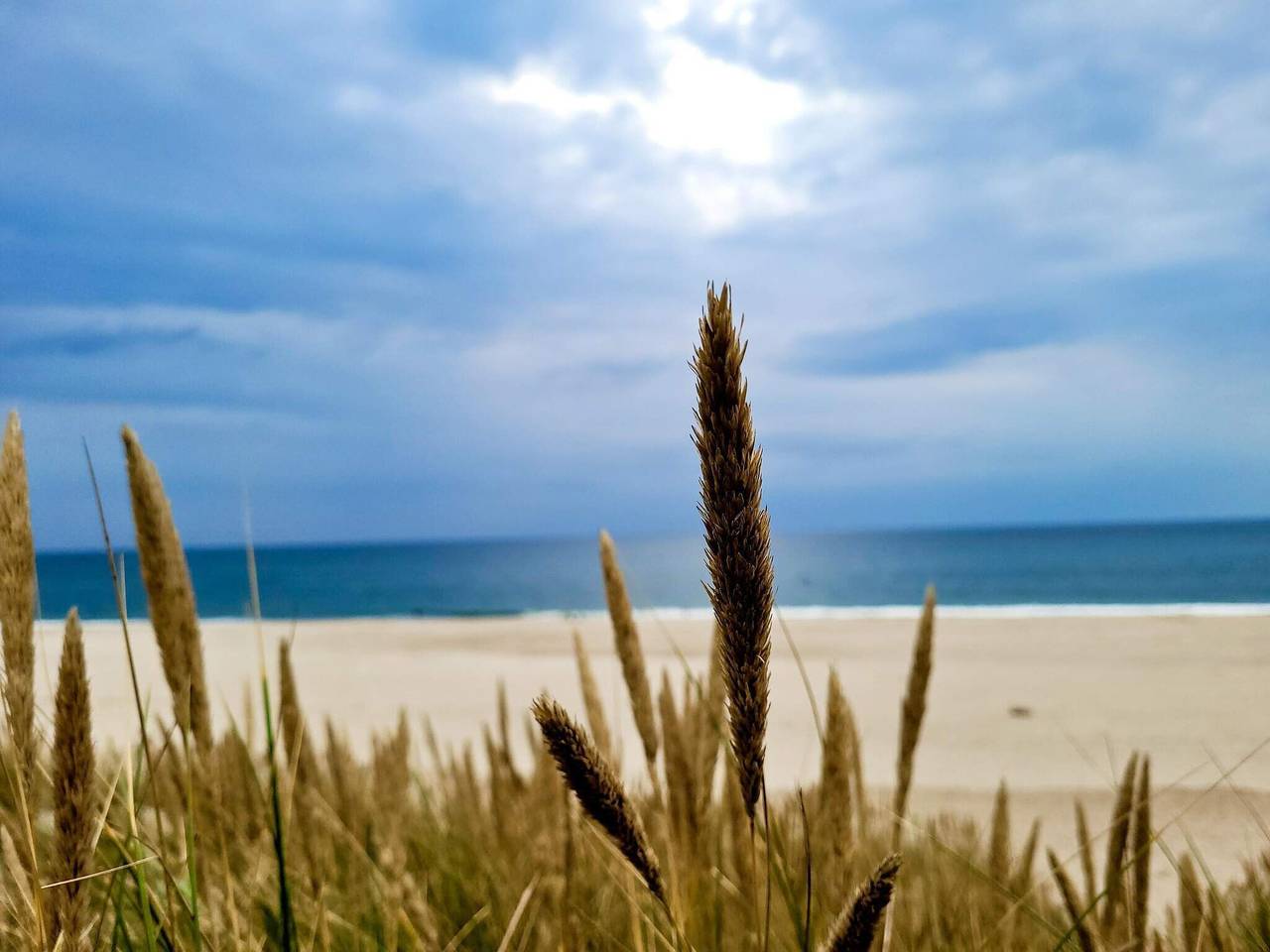 Golfudsigt tilflugt in Vrist, Lemvig Kommune