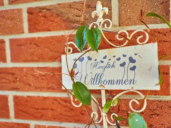 Ferienhaus für 4 Personen, mit Terrasse und Garten in Mardorf - 2