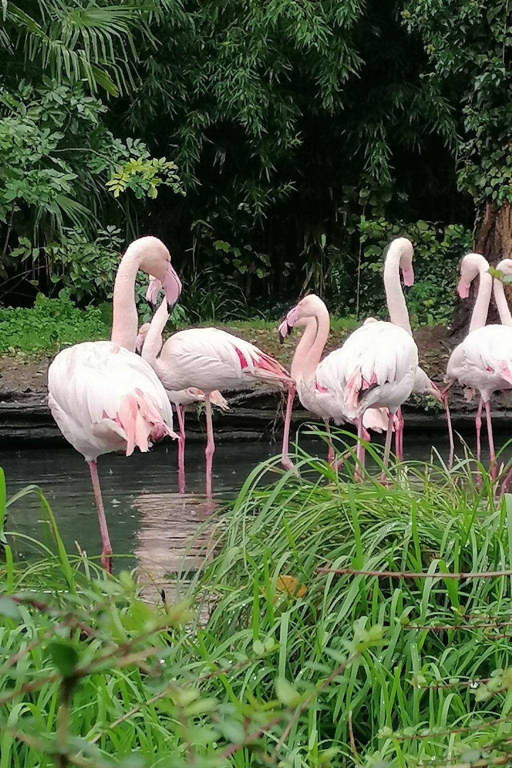 Maison Bleu in Saint Pierre la Mer, Fleury