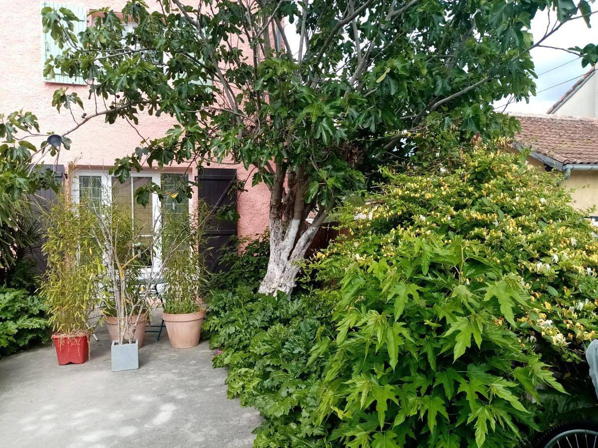 Double or Twin Room with Garden View in Espéraza, Parc naturel régional Corbières-Fenouillèdes
