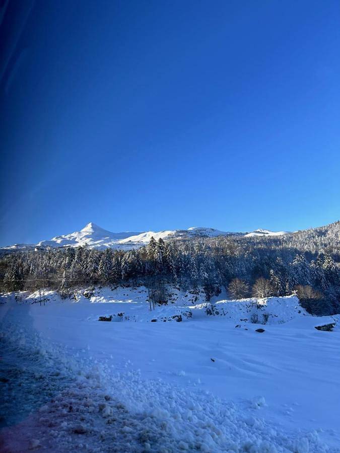 Appartement entier, La Suite Unique - Le jardin sur les Pyrénées- vue panoramique montagne -jardin clôturé privé de 100m2-Parking-Linge de lit et serviettes compris- in Bielle (Pyrénées-Atlantiques), Béarn