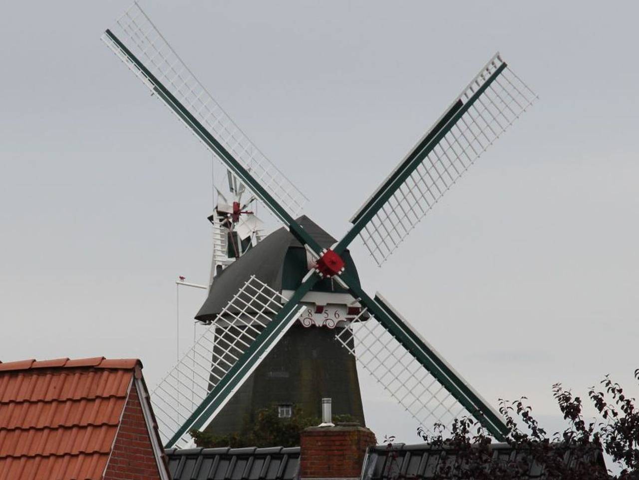 Bild 1