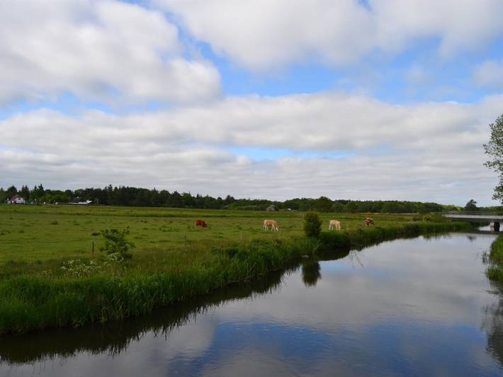 Ferienhaus für 4 Personen, mit Terrasse in Region Ribe