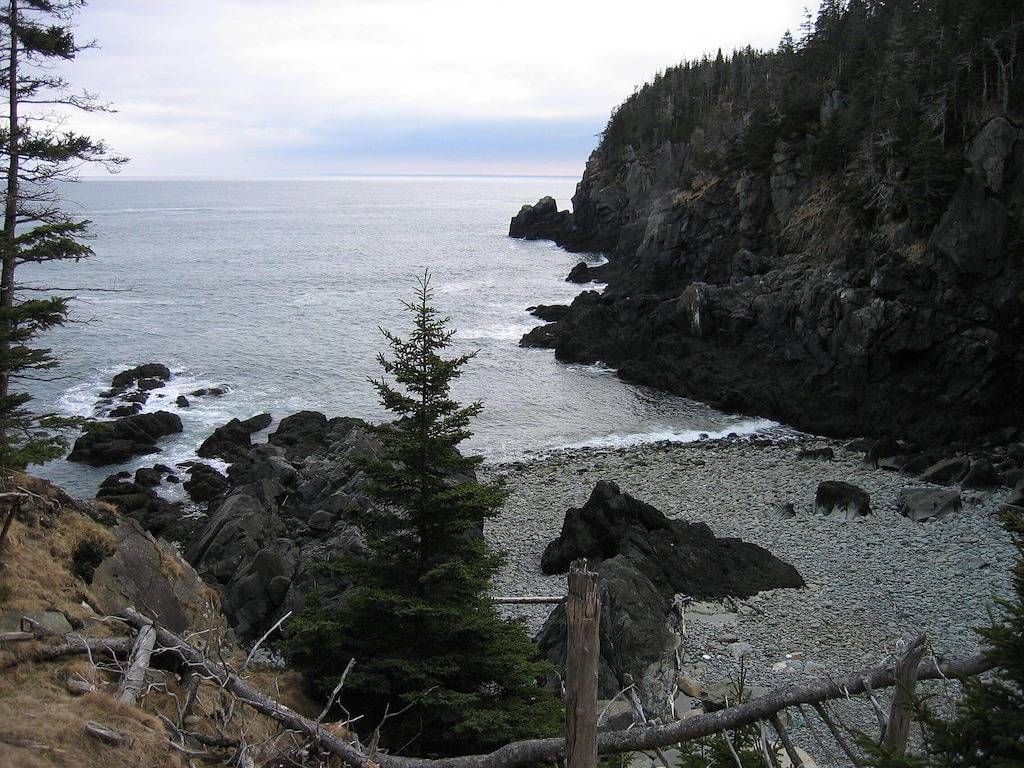 Picture Perfect ~ Oceanfront ~ Balkon ~ Haustierfreundlich ~ Feuerstelle ~ Art Studio ~ Deck ~ Wifi in Washington County (Maine)