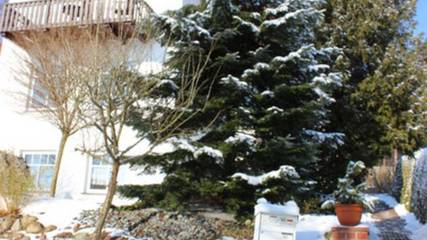 Ferienwohnung für 2 Personen, mit Garten in Bansin