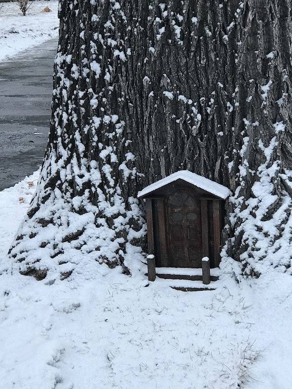 Ganze Wohnung, Discover the perfect place to call home in the heart of Hamilton, Montana. in Hamilton (MT), Ravalli County