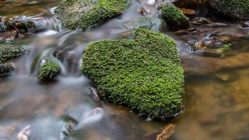 Hütte für 4 Personen, mit Terrasse im Erzgebirge - 2