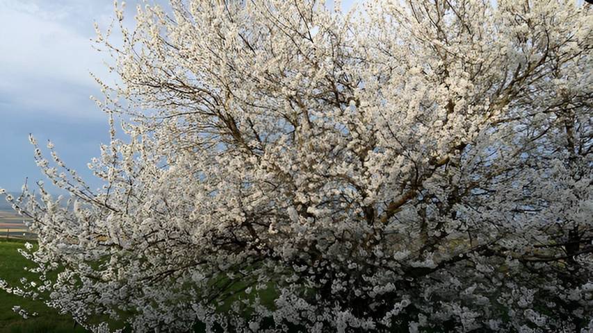 Chambre d’hôte pour 2 personnes, avec jardin dans l' Isère - 2