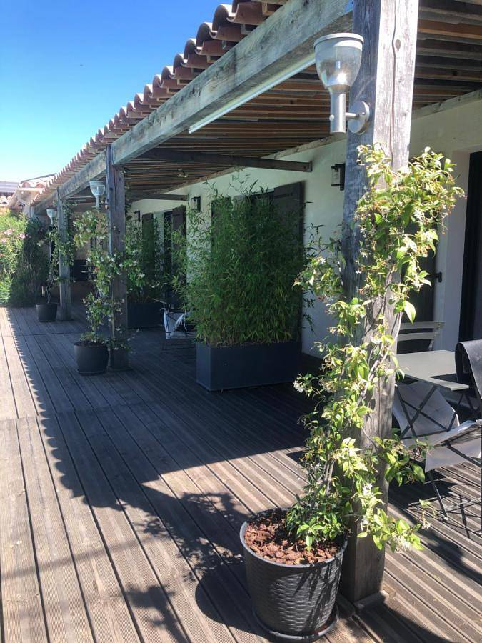 Chambre d’hôte pour 2 personnes, avec jardin ainsi que piscine et vue à Valensole - 4