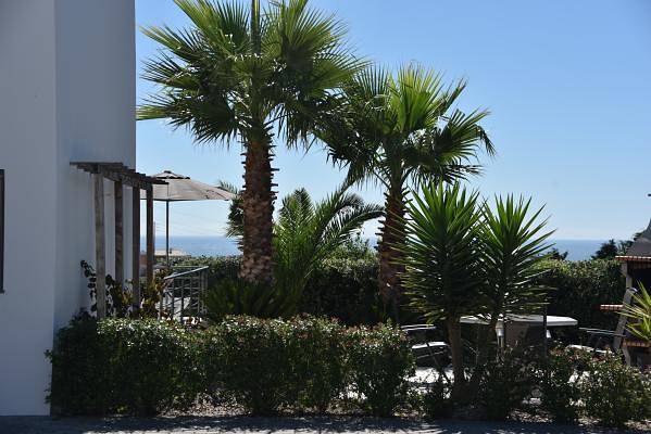 Moderne Villa mit privatem Pool und Meerblick in Atalaia, Lissabon Distrikt