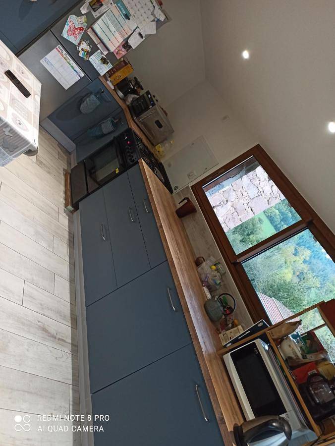 Maison de campagne pour 5 personnes, avec jardin, animaux acceptés à Thizy-les-Bourgs - 2