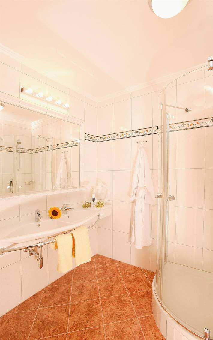 Ganze Ferienwohnung, Wohnstudio Deluxe Langaufenthalt ab 7 in Radstadt, Ski Amadé