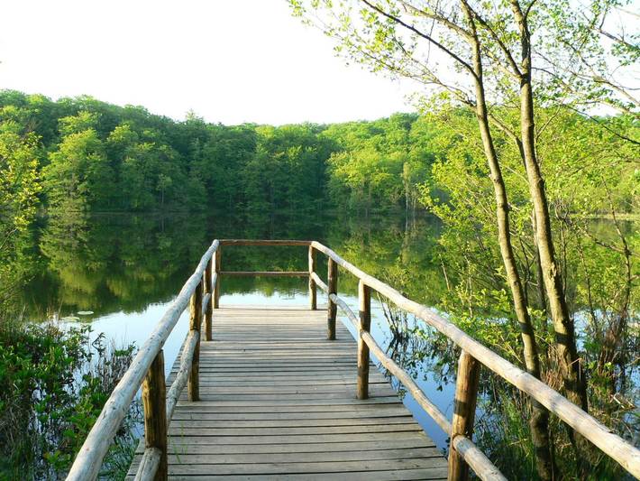 Bungalow für 2 Personen, mit Terrasse auf Rügen - 3