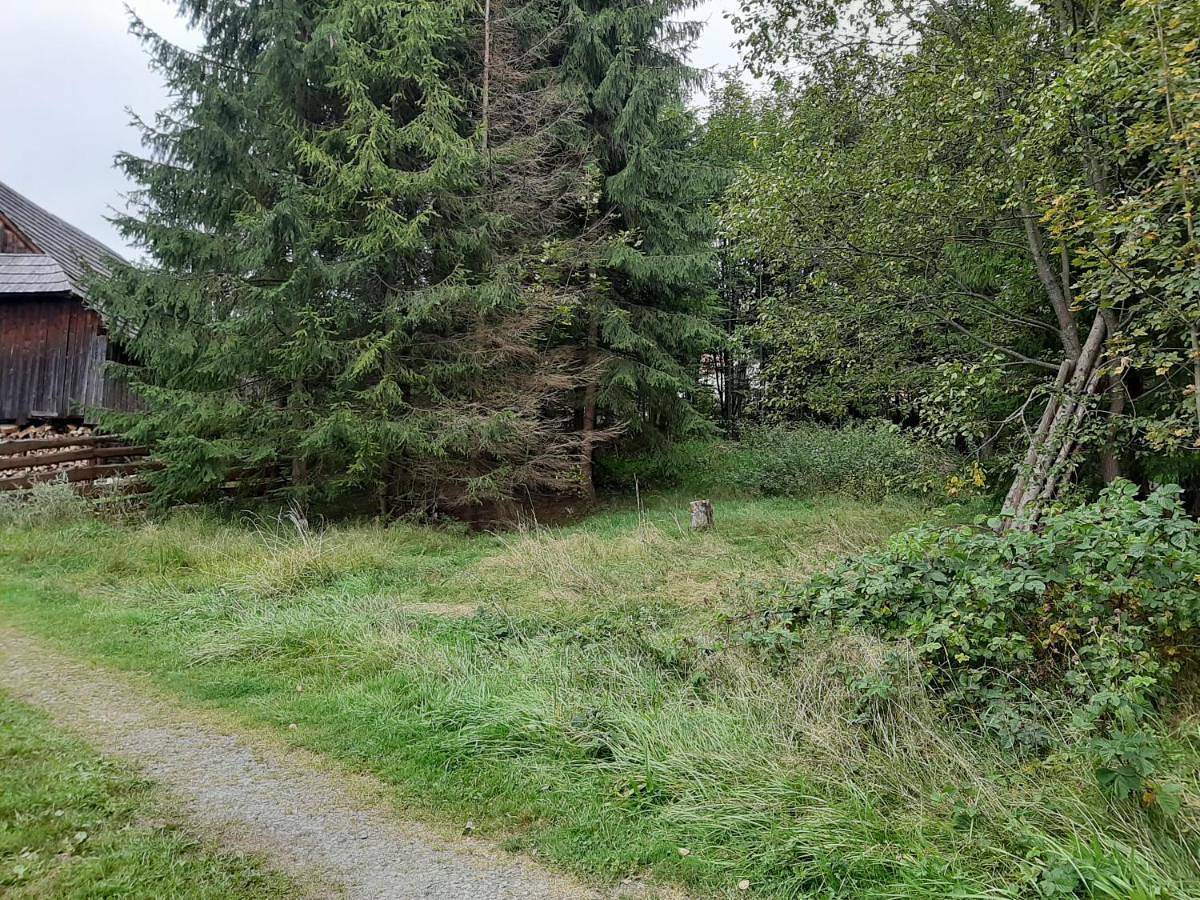 Szałas, miejsce na biesiadę lub wypoczynek w lesie in Istebna, Karpaty (Polska)