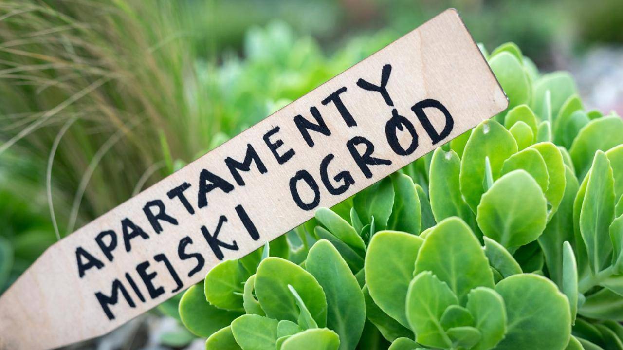 Cały apartament, Apartamenty Miejski Ogród in Bielsko-Biała, Śląsk