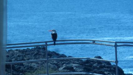 Casa De Férias para 8 Pessoas em Cabo Verde, Foto 4