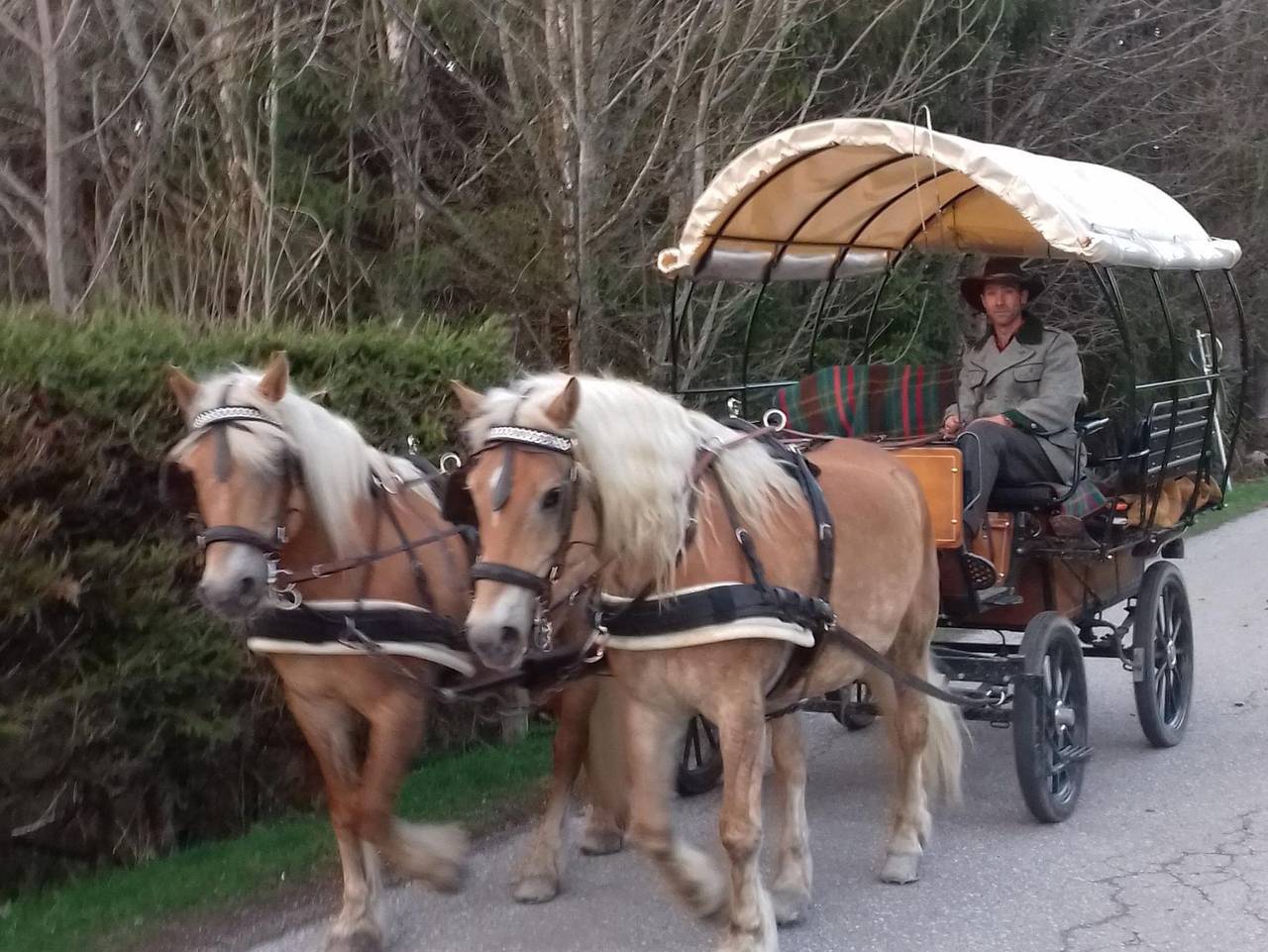 Steinbauer - Dreibettzimmer mit Dusche, Wc in Ramsau am Dachstein, Schladming-Dachstein