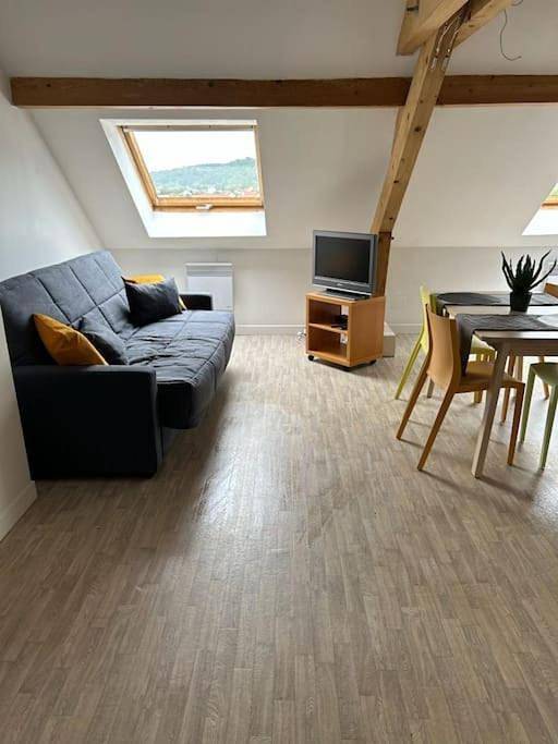 Appartement entier, Chez Arthur et Zoé. in Stiring-Wendel, Région de Forbach