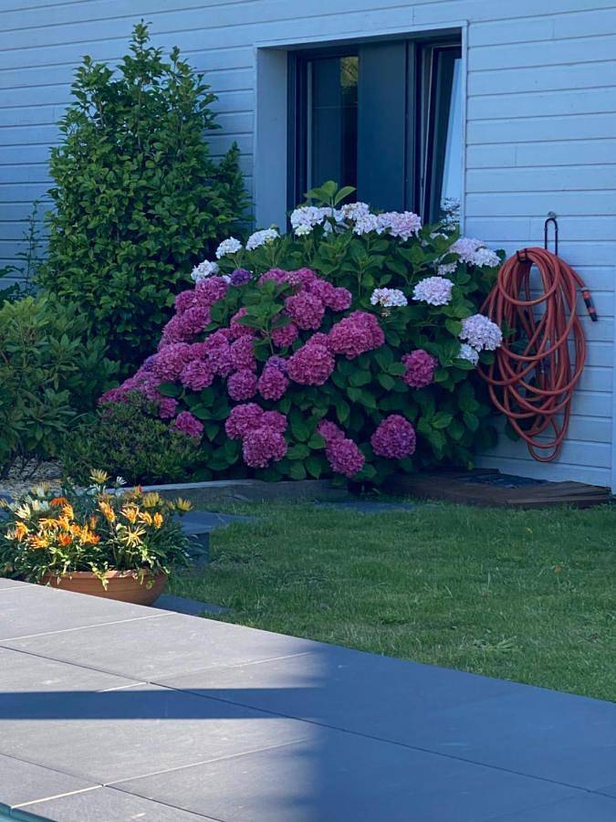 Chambre d’hôte pour 2 personnes, avec piscine et jardin à La Baule-Escoublac - 2
