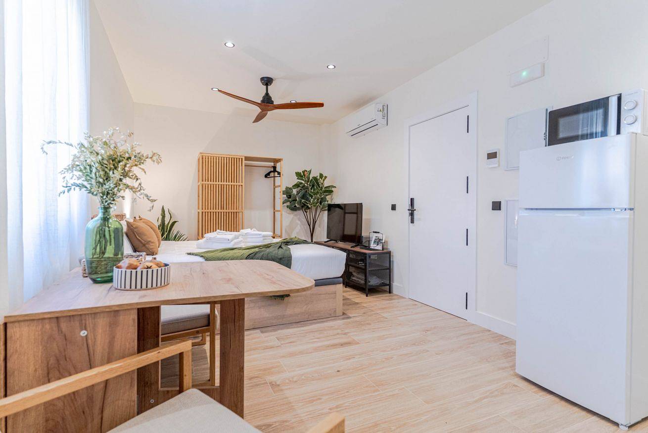 Plaza Larga Suite Modern Studio in the City Center, foto 14
