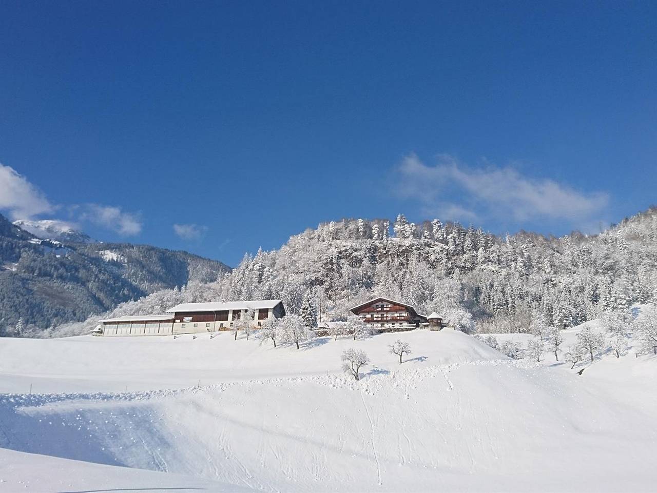 Ganze Ferienwohnung, Pulvererhof - Ferienwohnung Seeblick in Kramsach, Kufstein Umgebung