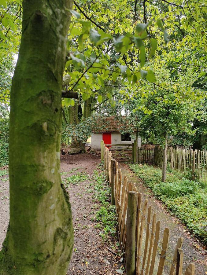 Chambre d’hôte pour 2 personnes, avec Terrasse ainsi que Jardin et Vue à Assenede