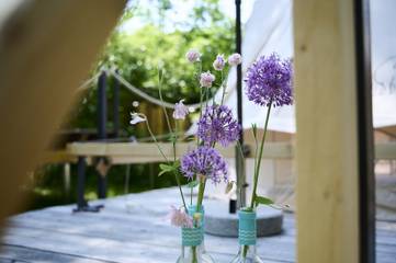 Glamping voor 2 Personen in Bad Rodach, Franken, Afbeelding 4