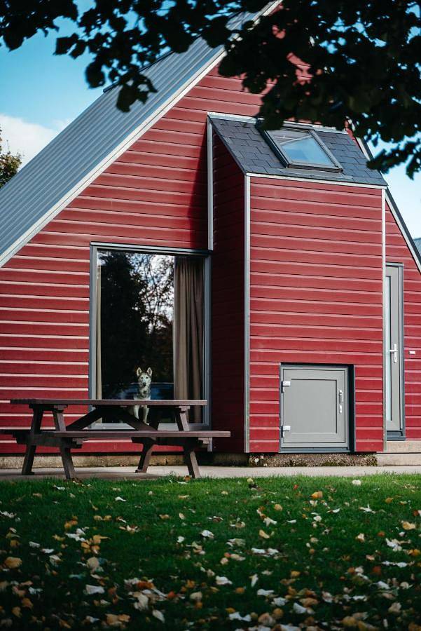 Parc de vacances pour 5 personnes, avec sauna et jardin ainsi que vue et piscine, animaux acceptés à Butgenbach - 3