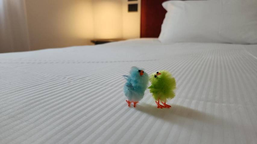 Maison d’hôte pour 3 personnes à Padoue - 4