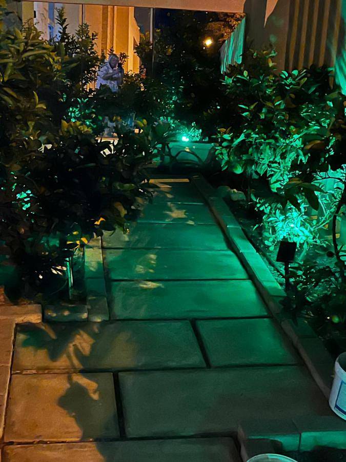 Villa pour 6 personnes, avec terrasse ainsi que vue et piscine, animaux acceptés à Guardamar del Segura - 3